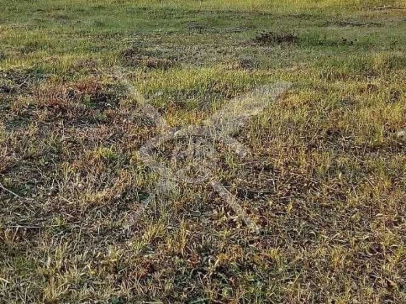 Парцел в Плевен, Индустриална зона - Изток - 2700 кв.м за 83 €/кв.м - Снимка #1