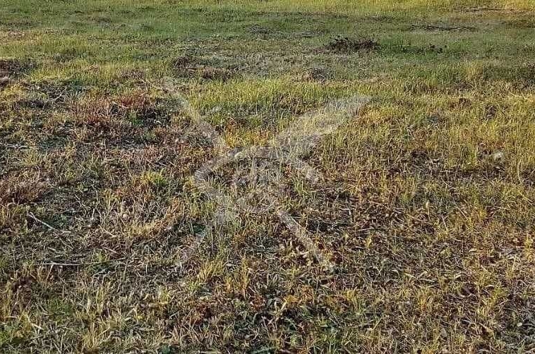 Парцел в Плевен, Индустриална зона - Изток - 2700 кв.м за 83 €/кв.м - Снимка #1