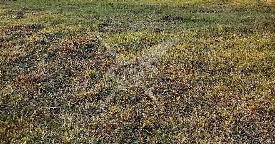 Парцел в Плевен, Индустриална зона - Изток - 2700 кв.м за 83 €/кв.м - Снимка #1