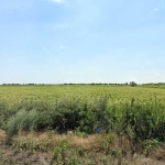 Парцел в Бургас, Ветрен - 3300 кв.м за 11 €/кв.м - Снимка #1