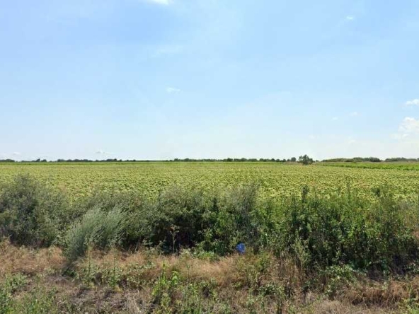 Парцел в Бургас, Ветрен - 3300 кв.м за 11 €/кв.м - Снимка #1