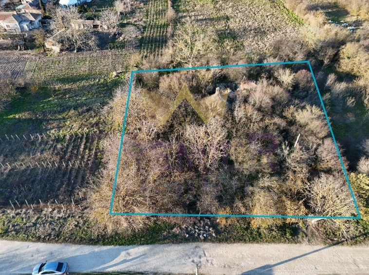 Парцел в с. Гурково, Област Добрич - 1844 кв.м за 9 €/кв.м - Снимка #1