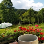 Къща в Драгоман - 30 кв.м за 952 €/кв.м - Снимка #1