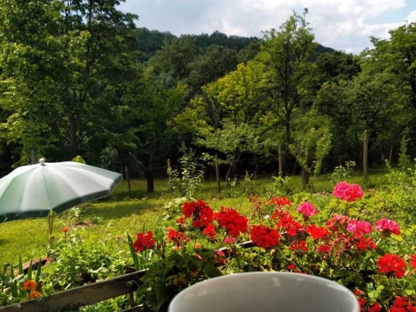 Къща в Драгоман - 30 кв.м за 952 €/кв.м - Снимка #1