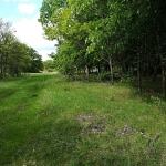 Земеделски имот в с. Смолник, Област Бургас -  кв.м за 726 €/дка - Снимка #1