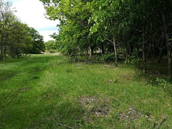 Земеделски имот в с. Смолник, Област Бургас -  кв.м за 726 €/дка - Снимка #1