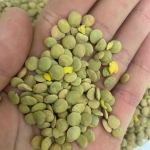 Дава се под наем Склад в Варна, Възраждане 1 - 22 кв.м за 1224 € - Снимка #1