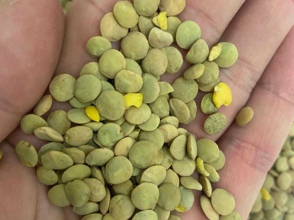 Дава се под наем Склад в Варна, Възраждане 1 - 22 кв.м за 1224 € - Снимка #1