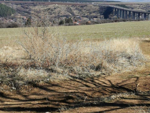 Парцел в София, НПЗ Хаджи Димитър - 500 кв.м за 70 €/кв.м - Снимка #1