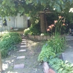 Парцел в Свищов - 1000 кв.м за 4 €/кв.м - Снимка #1