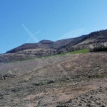 Парцел в с. Новаково, Област Пловдив - 10000 кв.м за 2 €/кв.м - Снимка #1