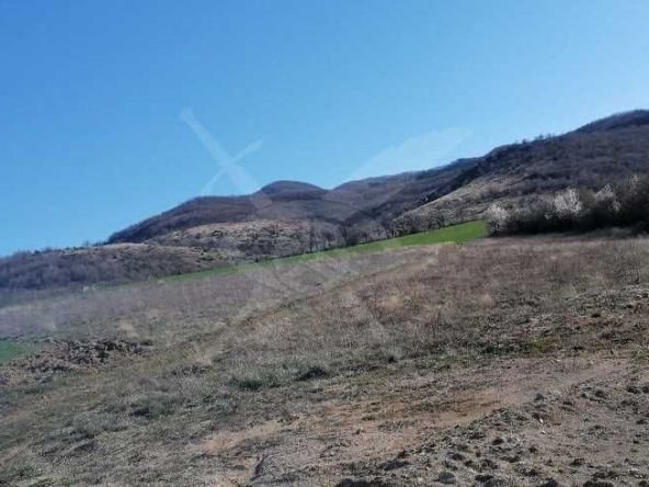 Парцел в с. Новаково, Област Пловдив - 10000 кв.м за 2 €/кв.м - Снимка #1