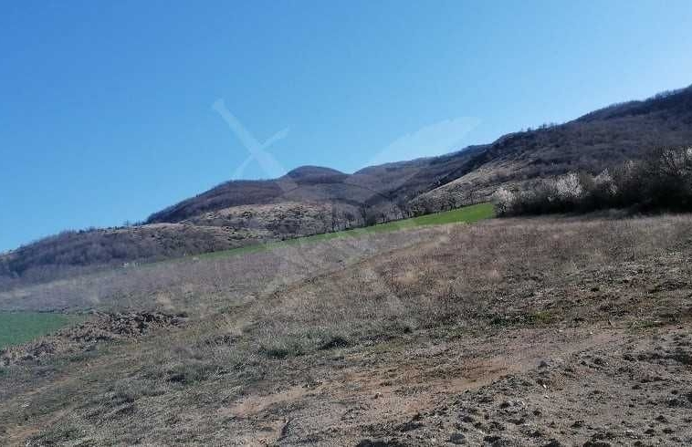 Парцел в с. Новаково, Област Пловдив - 10000 кв.м за 2 €/кв.м - Снимка #1
