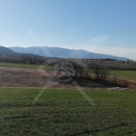 Земеделски имот в с. Новаково, Област Пловдив -  кв.м за 1650 €/дка - Снимка #1