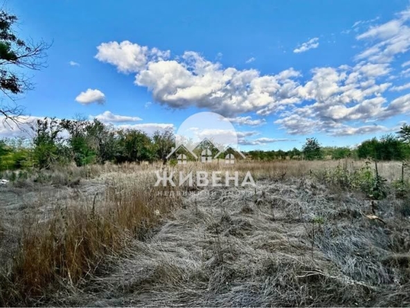 Парцел в с. Градини, Област Добрич - 3100 кв.м за 4 €/кв.м - Снимка #1