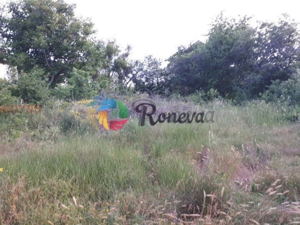 Парцел в с. Кранево, Област Добрич - 522 кв.м за 20 €/кв.м - Снимка #1