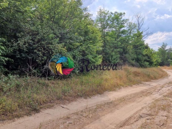 Парцел в с. Здравец, Област Варна - 2000 кв.м за 9 €/кв.м - Снимка #1