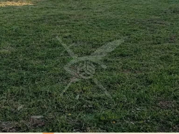 Парцел в с. Храбрино, Област Пловдив - 630 кв.м за 44 €/кв.м - Снимка #1