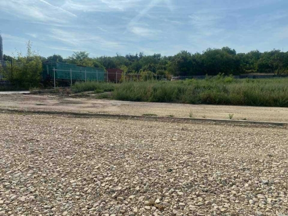 Парцел в с. Калипетрово, Област Силистра - 1100 кв.м за 26 €/кв.м - Снимка #1