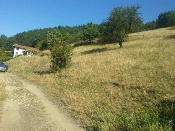 Парцел в Своге - 750 кв.м за 17 €/кв.м - Снимка #1