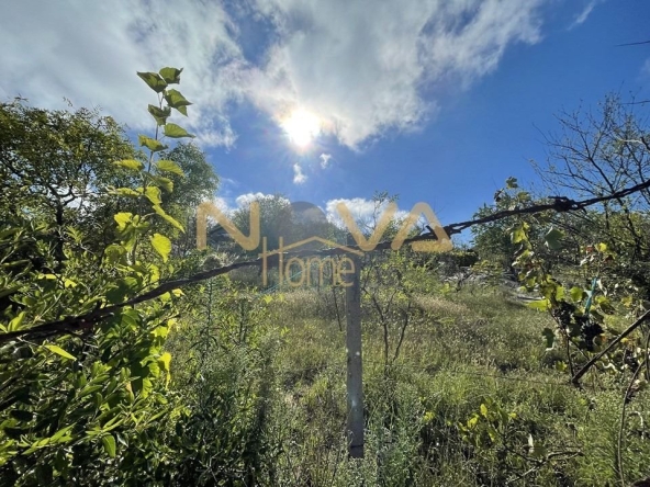 Парцел в Варна, м-т Боровец - север - 793 кв.м за 33 €/кв.м - Снимка #1