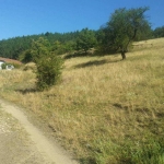 Парцел в Своге - 750 кв.м за 11 €/кв.м - Снимка #1