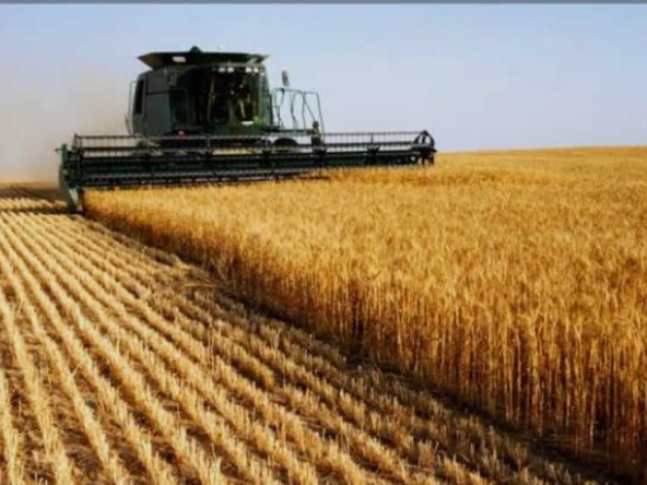 Земеделски имот в Шумен, Военно училище -  кв.м за 2038 €/дка - Снимка #1