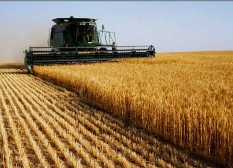 Земеделски имот в Шумен, Военно училище -  кв.м за 2038 €/дка - Снимка #1