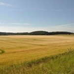 Земеделски имот в Варна, ЖП Гара -  кв.м за 0 €/дка - Снимка #1