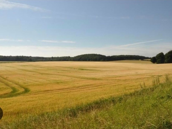 Земеделски имот в Варна, ЖП Гара -  кв.м за 0 €/дка - Снимка #1