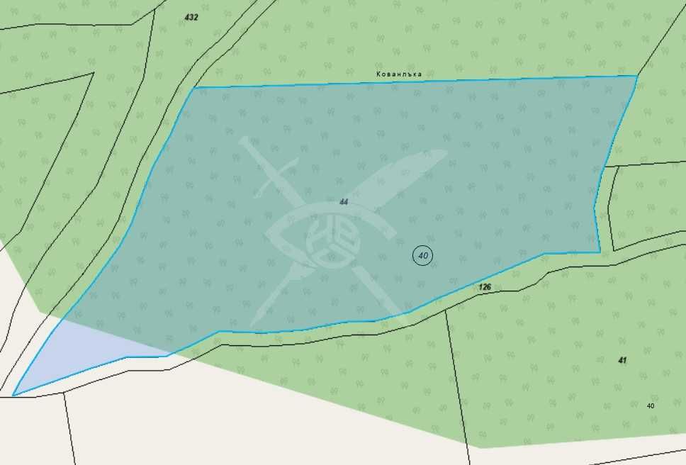 Парцел в с. Голямо Буково, Област Бургас - 9799 кв.м за 1 €/кв.м - Снимка #1