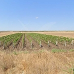 Парцел в Поморие - 5000 кв.м за 80 €/кв.м - Снимка #1