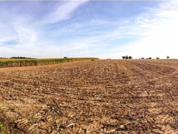 Земеделски имот в Стара Загора, Център -  кв.м за 1658 €/дка - Снимка #1