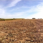 Земеделски имот в Стара Загора, Център -  кв.м за 1479 €/дка - Снимка #1