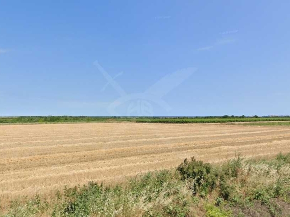 Парцел в Бургас, Крайморие - 11214 кв.м за 48 €/кв.м - Снимка #1