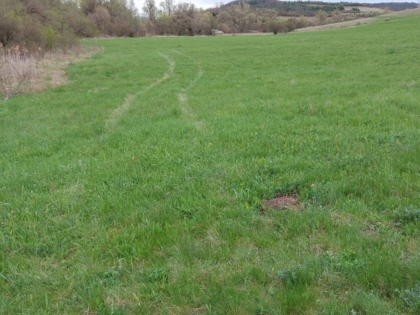 Парцел в с. Ковачевци, Област Перник - 3872 кв.м за 6 €/кв.м - Снимка #1