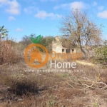 Парцел в с. Божурец, Област Добрич - 4150 кв.м за 9 €/кв.м - Снимка #1