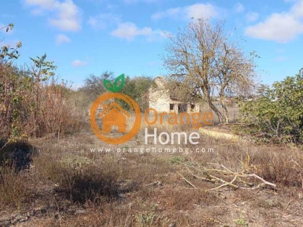 Парцел в с. Божурец, Област Добрич - 4150 кв.м за 9 €/кв.м - Снимка #1