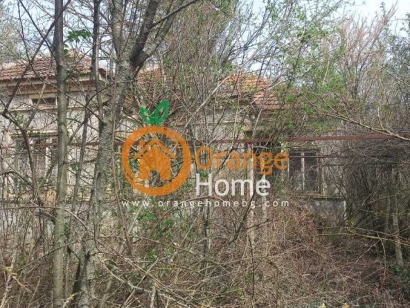 Къща в с. Змеево, Област Добрич - 100 кв.м за 245 €/кв.м - Снимка #1