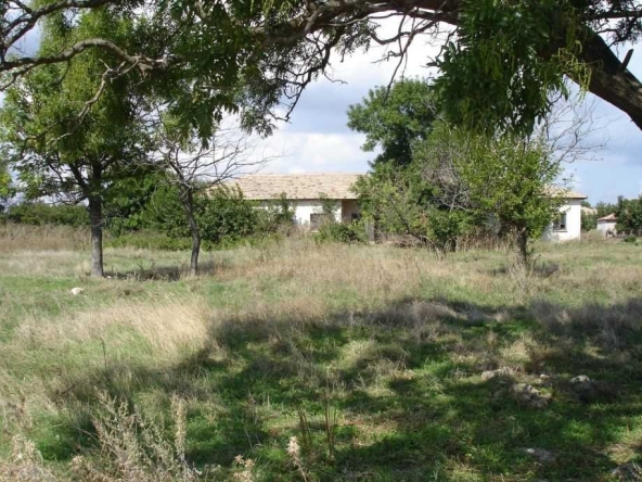 Парцел в с. Тюленово, Област Добрич - 7345 кв.м за 16 €/кв.м - Снимка #1