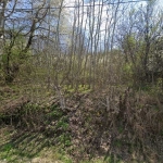 Парцел в Габрово, Трендафил 1 - 1300 кв.м за 4 €/кв.м - Снимка #1