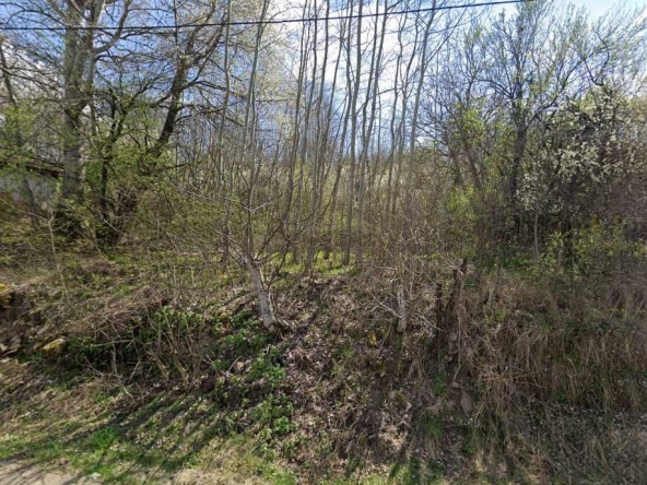 Парцел в Габрово, Трендафил 1 - 1300 кв.м за 4 €/кв.м - Снимка #1