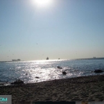 Парцел в Варна, м-т Прибой - 9509 кв.м за 20 €/кв.м - Снимка #1