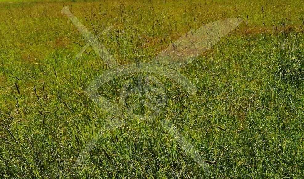 Парцел в Съединение - 840 кв.м за 24 €/кв.м - Снимка #1