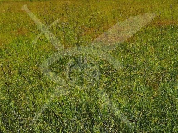 Парцел в Съединение - 840 кв.м за 39 €/кв.м - Снимка #1