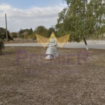 Парцел в с. Аврен, Област Варна - 2500 кв.м за 4 €/кв.м - Снимка #1