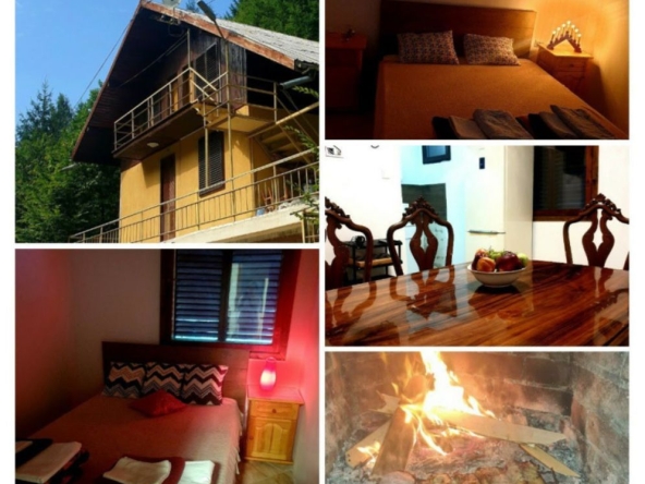 Къща в с. Чифлик, Област Ловеч - 200 кв.м за 315 €/кв.м - Снимка #1