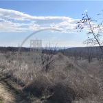 Парцел в Варна, м-т Боровец - юг - 3636 кв.м за 11 €/кв.м - Снимка #1