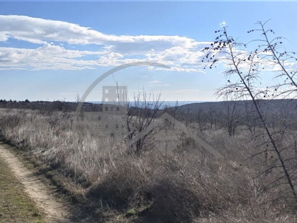 Парцел в Варна, м-т Боровец - юг - 3636 кв.м за 11 €/кв.м - Снимка #1