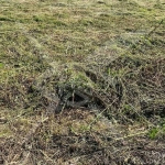 Парцел в с. Костиево, Област Пловдив - 5030 кв.м за 11 €/кв.м - Снимка #1